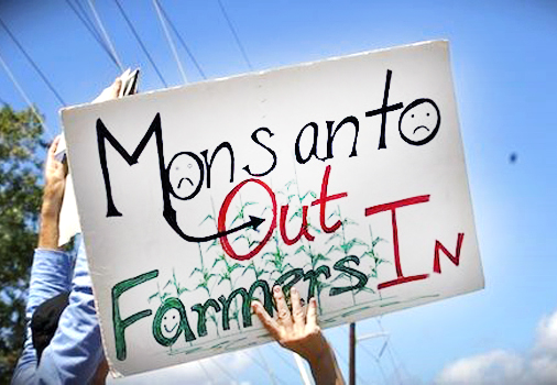 Monsanto vs Farmers