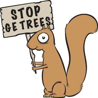 squirrel medium-no-ge-trees