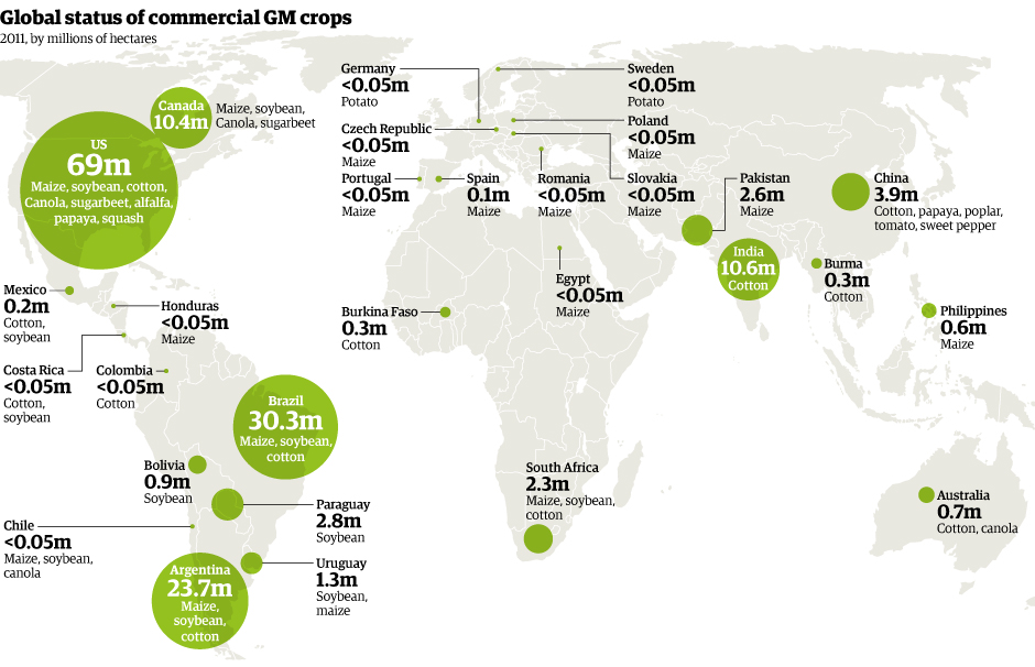 world gm crops