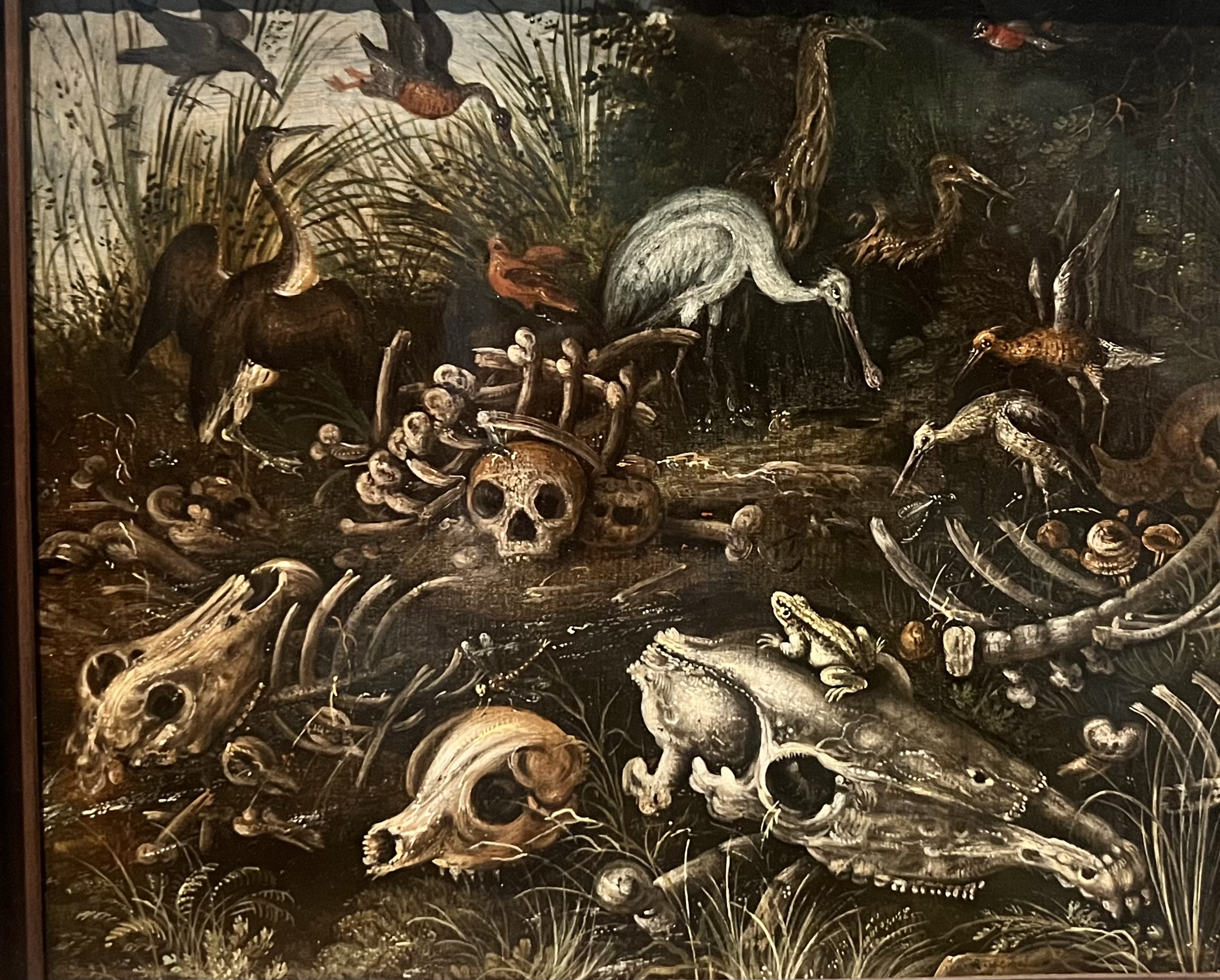 Image for The Garden
